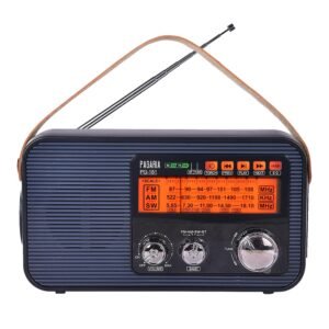 PAGARIA 3 Band FM/AM/SW DSP Portable Radio with 5 Watts, Torch, Bluetooth, USB/TF, Earphone, Aux, Model: PG-181